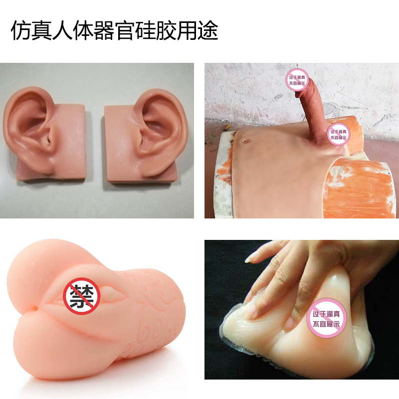 仿真人体器官硅橡胶 仿真人体器官硅橡胶